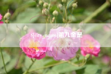 临夏第九金是
