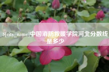 临夏中国消防救援学院河北分数线是多少