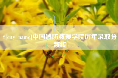 临夏中国消防救援学院历年录取分数线