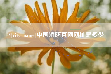 临夏中国消防官网网址是多少