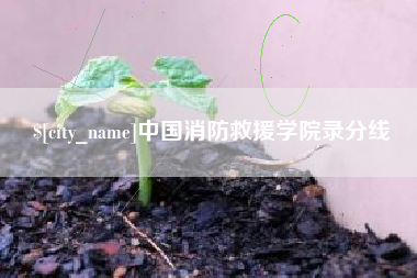 临夏中国消防救援学院录分线