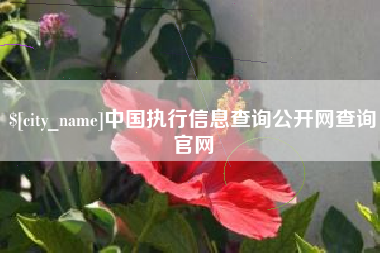 临夏中国执行信息查询公开网查询官网