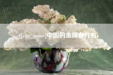 临夏中国的金牌有几名