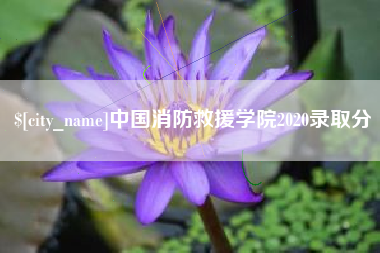 临夏中国消防救援学院2020录取分