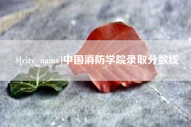 临夏中国消防学院录取分数线