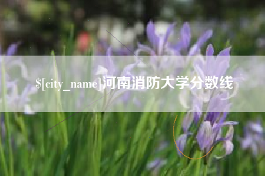 临夏河南消防大学分数线