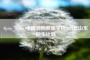 临夏中国消防救援学院2021年山东招生计划