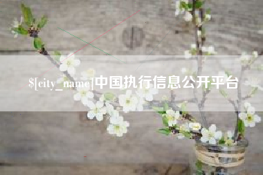 临夏中国执行信息公开平台