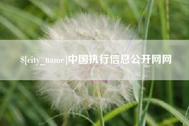 临夏中国执行信息公开网网