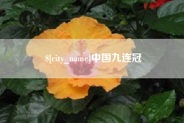 临夏中国九连冠