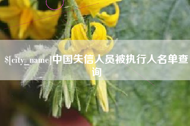 临夏中国失信人员被执行人名单查询