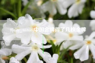 临夏中国金牌得了几枚金牌