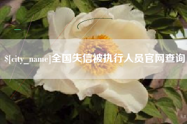 临夏全国失信被执行人员官网查询