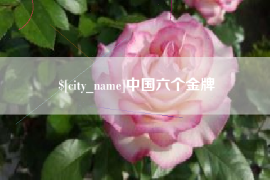 临夏中国六个金牌
