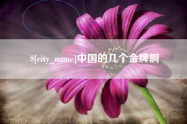 临夏中国的几个金牌啊
