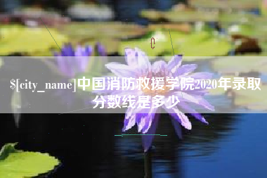 临夏中国消防救援学院2020年录取分数线是多少