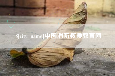 临夏中国消防救援教育网