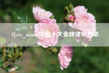临夏中国十大金牌律师名单