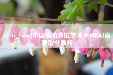 临夏中国消防救援学院2020年河南录取分数线