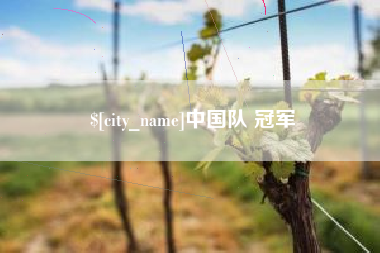 临夏中国队 冠军