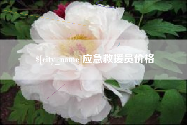 临夏应急救援员价格