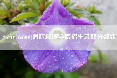 临夏消防救援学院招生录取分数线