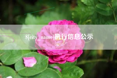 临夏执行信息公示