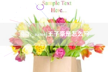 临夏王子豪是怎么写