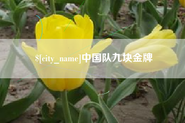 临夏中国队九块金牌