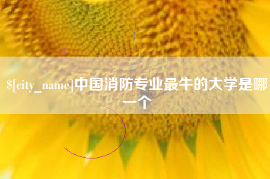 临夏中国消防专业最牛的大学是哪一个
