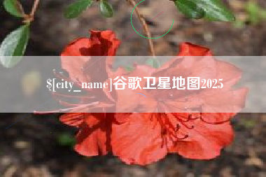 临夏谷歌卫星地图2025