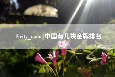 临夏中国有几块金牌排名