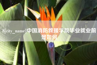 临夏中国消防救援学院毕业就业前景如何