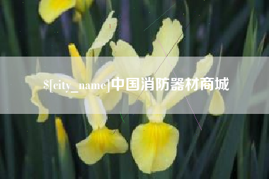 临夏中国消防器材商城