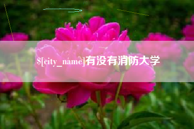 临夏有没有消防大学
