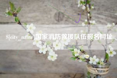 临夏国家消防救援队伍报名网址
