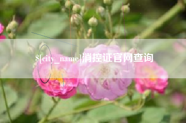 临夏消控证官网查询