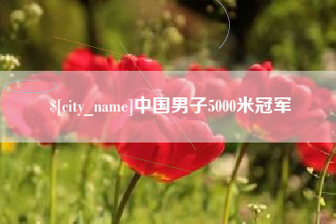 临夏中国男子5000米冠军