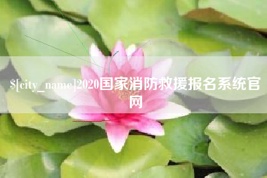 临夏2020国家消防救援报名系统官网