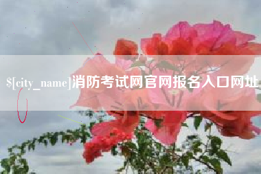 临夏消防考试网官网报名入口网址
