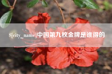 临夏中国第九枚金牌是谁得的