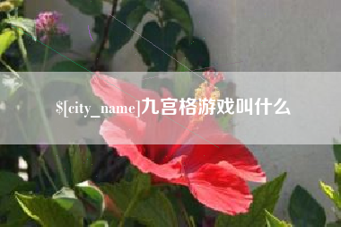 临夏九宫格游戏叫什么
