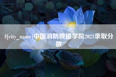 临夏中国消防救援学院2021录取分数