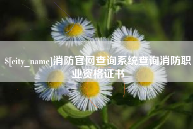 临夏消防官网查询系统查询消防职业资格证书