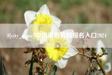 临夏中国消防官网报名入口2024