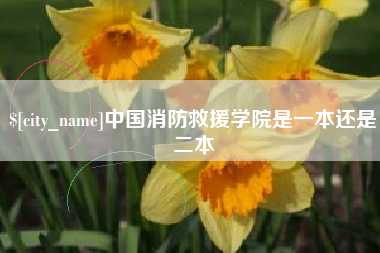 临夏中国消防救援学院是一本还是二本