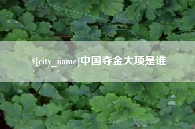 临夏中国夺金大项是谁