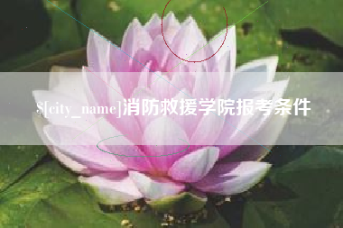 临夏消防救援学院报考条件