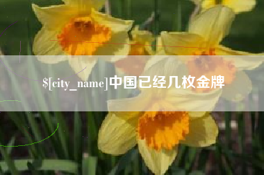 临夏中国已经几枚金牌