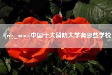 临夏中国十大消防大学有哪些学校